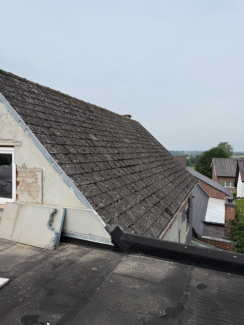 Project Image /images/projecten/dakbedekking-dendermonde/2.jpg